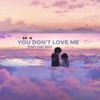 You Don't Love Me (Never Enough) (feat. That Hat Boy) - Single