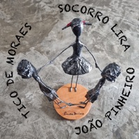Meu Amor do Céu (feat. Socorro Lira & Tico De Moraes) - Single - João Pinheiro