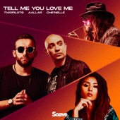 Tell Me You Love Me artwork