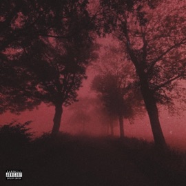 stay4me (feat. Superybf! & Mike Labyrinth) HyperGod