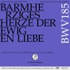 Alex Lutz Barmherziges Herze der ewigen Liebe, BWV 185: III. Arie (Alt) - Sei bemüht in dieser Zeit Bachkantate, BWV 185 - Barmherziges Herze der ewigen Liebe - EP