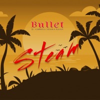 Steam (feat. RapDokta & Rudra Kartel) - Single - Bullet Maridhe