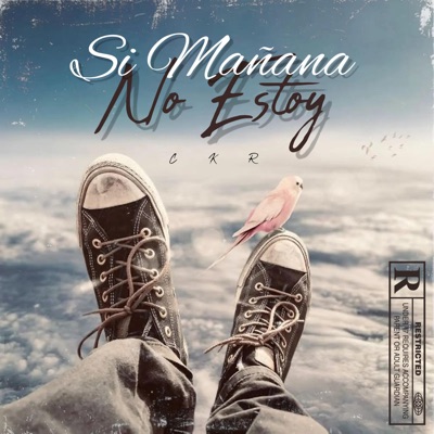 Si Mañana No Estoy - Single