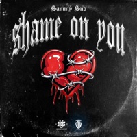 Shame On You - Single - Sammy Sno