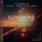 Sunshine (feat. Addie Nicole) [Clari7Y X Raindropz! Remix] artwork