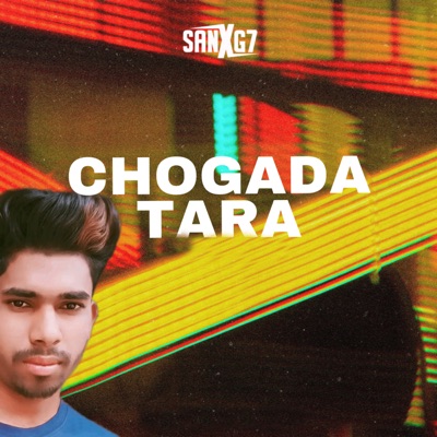 CHOGADA TARA (feat. Dj Amar Raipur) - Single
