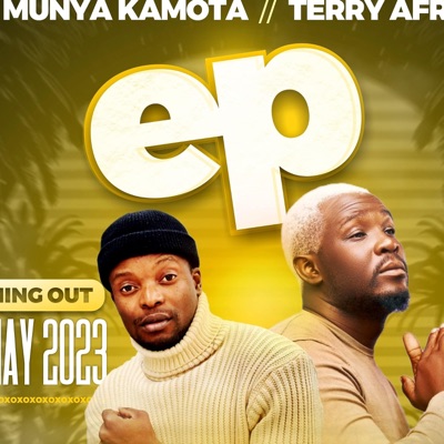 Senorita (feat. Terry Afrika) - Single