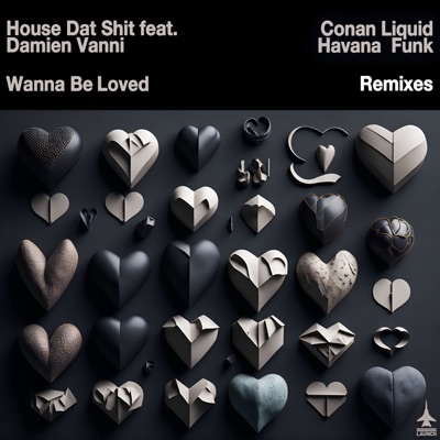 Wanna Be Loved (Conan Liquid and Havana Funk Remixes) [feat. Damien Vanni] - Single
