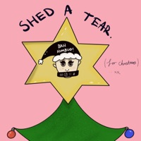 Shed a Tear (for christmas) - Single - Mel Quinn
