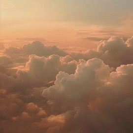 Fields (Singing Bowls) starry