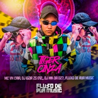 Tiger Cinza - Single - MC VN Cria, Dj Igor ZS 012 & DJ MK DA DZ7
