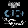 Dr. Serpiente (feat. Arkestra) - Single