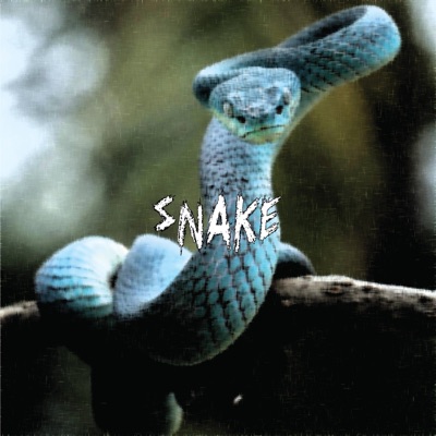 Snake (Back) - Single