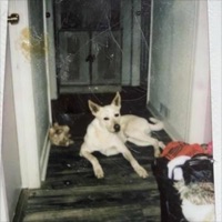 Infected - Single - nferior