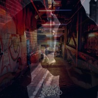 Street Values (feat. Berrymane) - Single - Triple Tix
