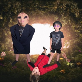 The Turtle V2 wackytown