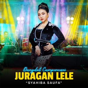 Juragan Lele Album Art