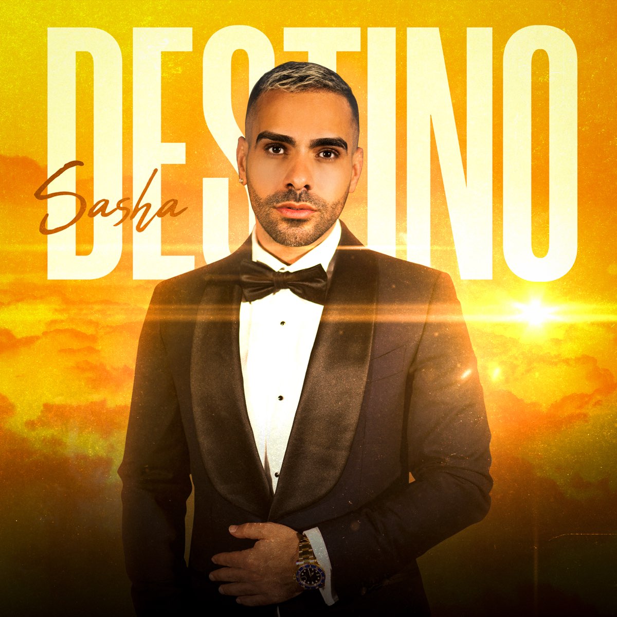 Destino - Single by Sasha on Apple Music