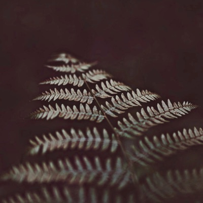 Environmental Sapphire - Single