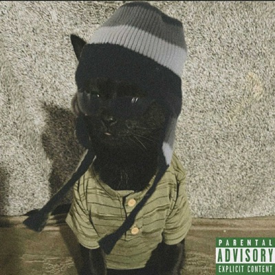 I Don't Like It Nada - Single