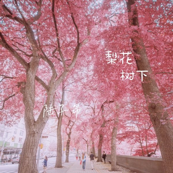 梨花树下 - Single