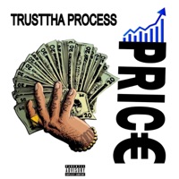Price - Single - Trusttha Process