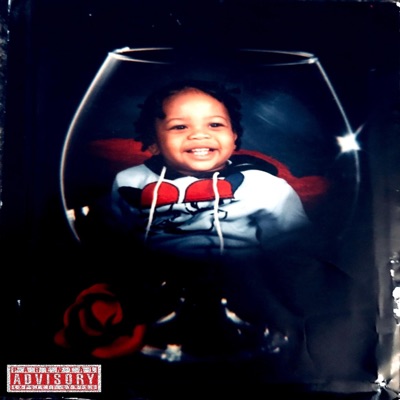 A Rapper's Diary - Single