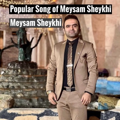 Meysam Sheykhi - Leyla