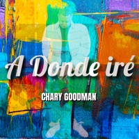 A Donde Iré - Single - Chary Goodman