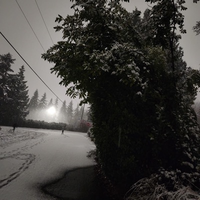 Coraline (feat. Tafari) - Single