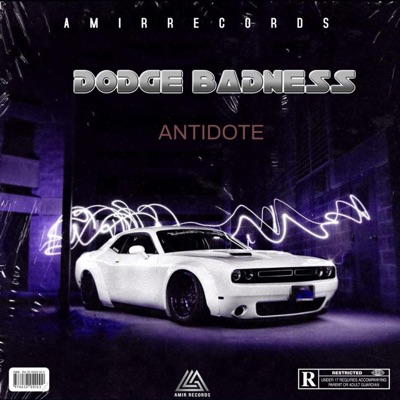 DODGE BADNESS (feat. Amirmusiq) - Single