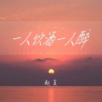 一人饮酒一人醉 - Single - zhaozhen