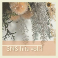 SNS hits vol.1