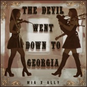 The Devil Went Down to Georgia artwork
