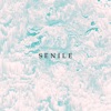 Senile (Accelerate Remix) [feat. Trevor Spitta] - Single