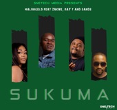 Sukuma (feat. Zakwe, Ray T & Sands) artwork