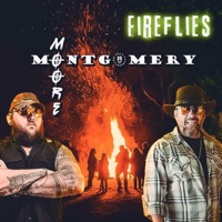 Fireflies (feat. Colt Montgomery) - Single - Rick Moore
