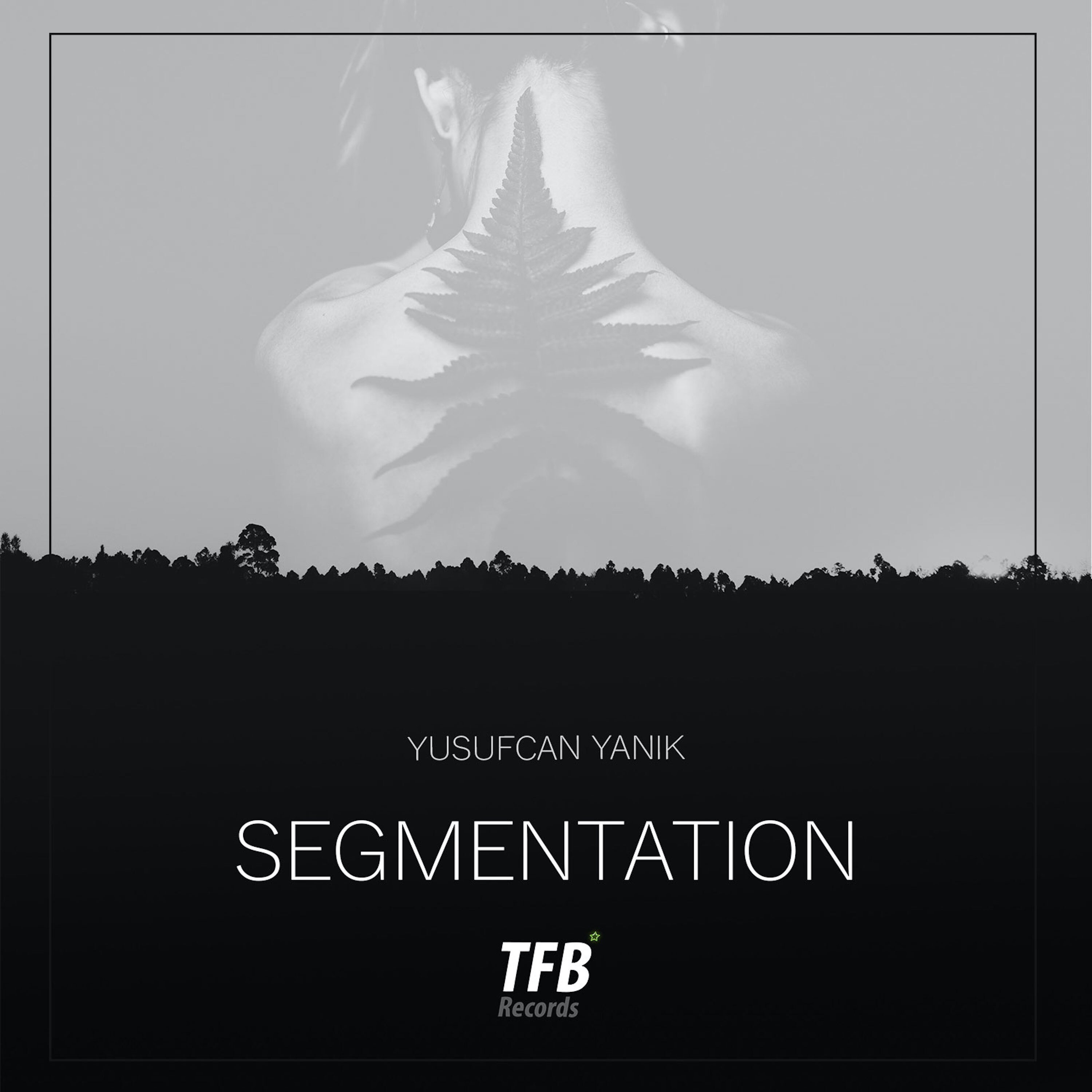 Segmentation - Single