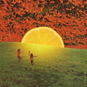 Apricot - Single