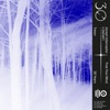 Nite Night cover art