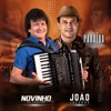 Paraíba Jóia Rara (feat. Novinho da Paraíba) - Single