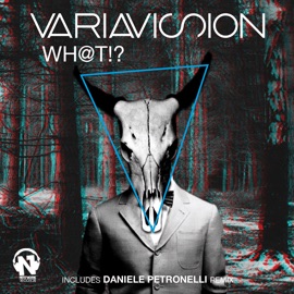 Wh@T!? (Radio Edit) Variavision