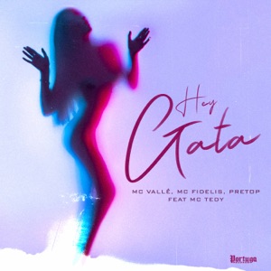 Hey Gata (feat. Mc Tedy)