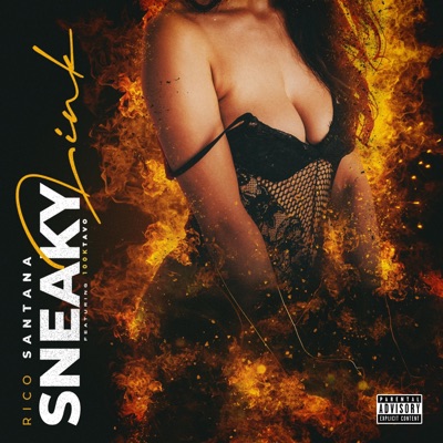 Sneaky Link (feat. 100kTavo) - Single