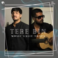 Tere Bin (feat. Govind Negi & Sagar) - Single - Lalit Thapa