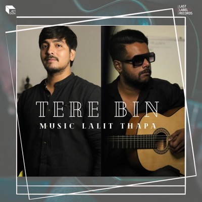 Tere Bin (feat. Govind Negi & Sagar) - Single