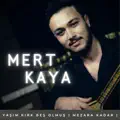 YASIM KIRK BES OLMUS (MEZARA KADAR)