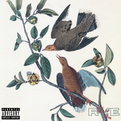 2 Birds, 1 Stone - EP