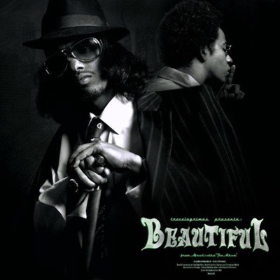 Beautiful (feat. Dj King) - Single