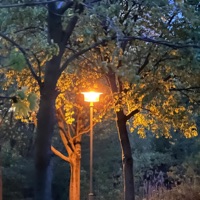 Aushalten - Single - ille